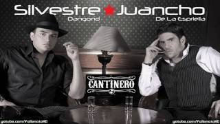 Video thumbnail of "Silvestre Dangond - Aunque Despues Me Duela [Cantinero] *Vallenato 2010*"