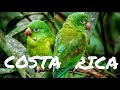 Costa Rica - PURA VIDA 2020 (4k UHD)