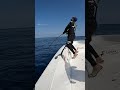 Huge Yellowfin Tuna Catch! 超大黃鰭鮪水面亂炸！ #赫馬士 #釣魚 #popping