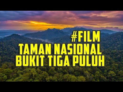 Video: Bukit Homeria