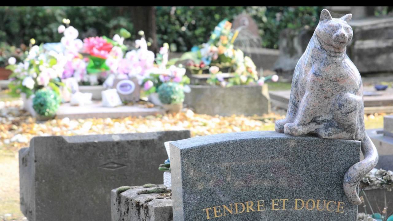 5 Unique Burial Sites With Amazing Histories