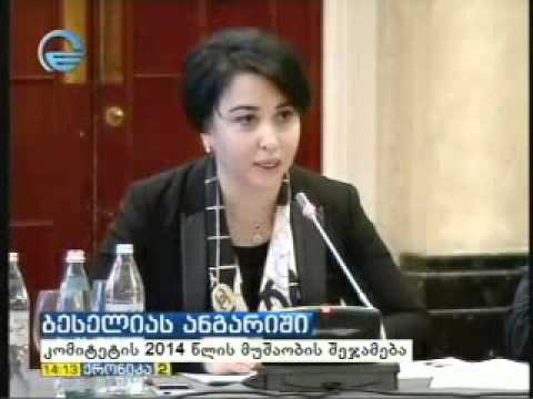 ადამიანის უფლებათა დაცვის კომიტეტი 2014 წელს აჯამებს