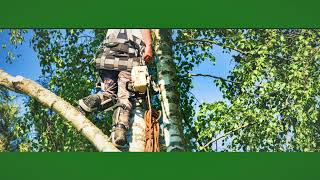 Greenleaf Tree & Property Services - Tree Surgeons Cardiff