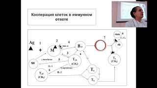 Иммунологическая реактивность. Prof. Maksimovich N.Ye.