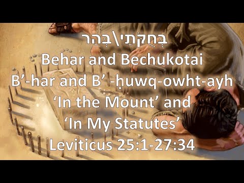 On the Mountain and In My Statutes (Torah Portions: Behar and Bechukkotai) 2020 - 2021