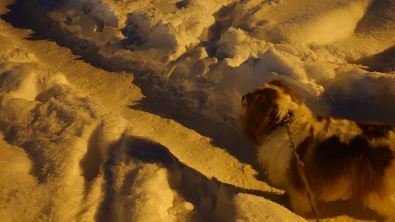 先生のおしゃべりストリーム Болтовня-стрим сэнсэя! Vol.294