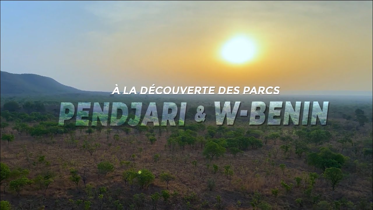 A la découverte des Parcs Pendjari et W-Bénin