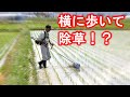 【美善/BIZEN】田んぼを横に歩いて除草できる！？刈払機アタッチメント水田カルチの応用例！