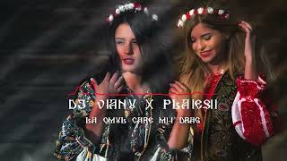 Dj Vianu x Plăieșii - La Omul Care Mi-i Drag