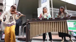 、なつ&かよ+沖増菜摘 チャールダッシュ!高円寺ビックリ大道芸2011 、なつ&かよ+沖増菜摘 チャールダッシュ!高円寺ビックリ大道芸2011
