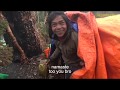 yarsagumba seeker people life || Nepal || dolpa || lajimbudha ||
