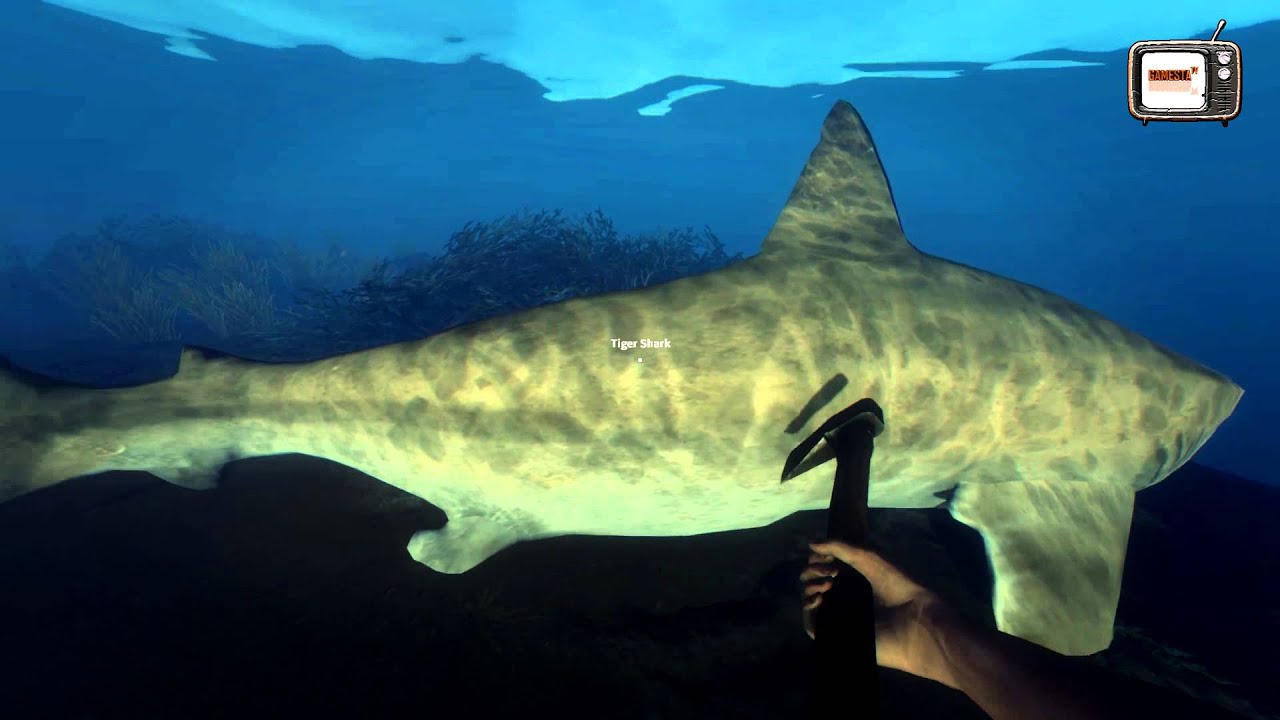 Stranded Deep - easy shark kill [1-2 hits^^] #gamestA TV - YouTube