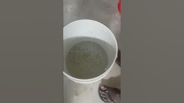 Floating fish feed pellet machine _ Customer feedback from Nigeria