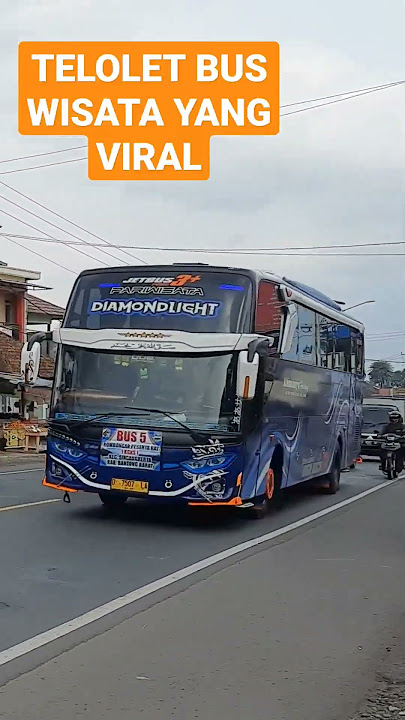 TELOLET BUS WISATA ULAR KOBRA