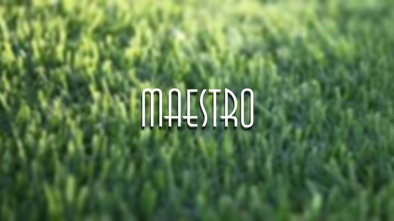 Маэстро презентация