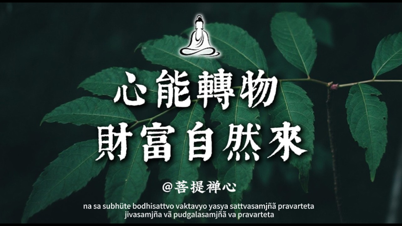 真正有錢的人都懂這個心法：利他 感恩 無住｜菩提禪心#佛学 #修行 #人生感悟 #修心修行 #國學 #治愈