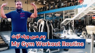 My Gym Workout Routine | The Gym | Ashton Old Road | My Gym Workout Routine | The Gym | Ashton Old Road |