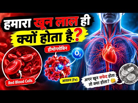 हमारा खून लाल ही क्यों होता है? 🩸😱 | खून का लाल रंग कैसे बनता है? | Science Facts #shorts