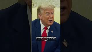 Trump slams radical left LUNATICS after 'anti-ICE' attack in NYC