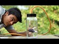 Experiment क्या बिना हवा के मख्खी उड़ पायेगी (Flies In Vacuum)