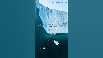 تلاوة قرأنية / بصوت خاشع / القارئ ابراهيم شرف ابوطالب