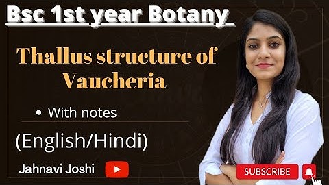 Vaucheria: Thallus Structure (Notes)    Bsc 1st Botany