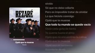 Ojalá que te mueras - Pesado   Letra Completa