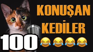 Konuşan Kediler 100 - En Komik Kedi Videoları