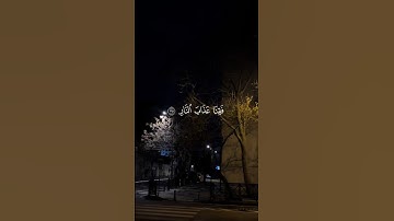 الذين يذكرون الله قياما وقعودا وعلى جنوبهم || حالات واتس اب #قرآن 💛🌼 || القارئ المنشاوي