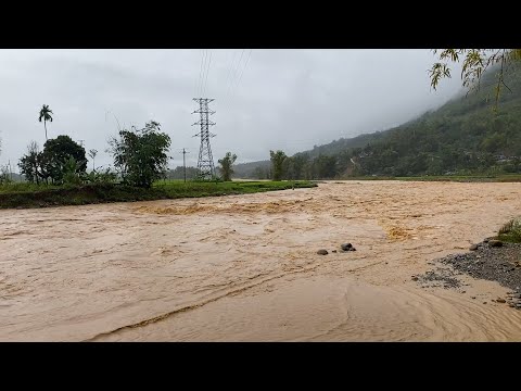 Video Cầu Chống Chơ căng rồi - Lũ kéo về ngày một lớn Bản... - youtube