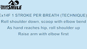 Ex 14F Flutter kick with 1 stroke per breath technique