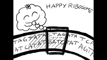 How to iGEM #5 - BioBricks