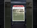プロの水切りえぐいw #shorts#tiktok#Twitter#おもしろ#お笑い#おすすめ#水切り #神業 #面白い#おもしろ動画#爆笑#バズれ