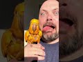 birds being adorable