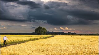 Wetter heute: Die aktuelle Vorhersage (16.08.2023)