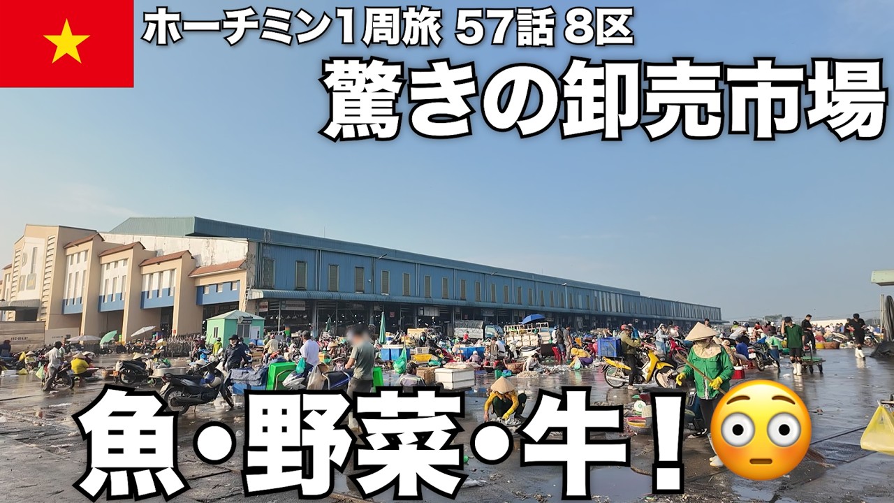 【🇻🇳ホーチミン】驚愕の品揃え！豊洲を超える巨大卸売市場を潜入調査 #57