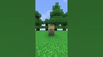 This video is loop#minecraft #shorts #loop