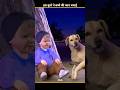 A Dog Protected This Lost Child for One Night 🥺 #shorts #youtubeshorts #3danimation