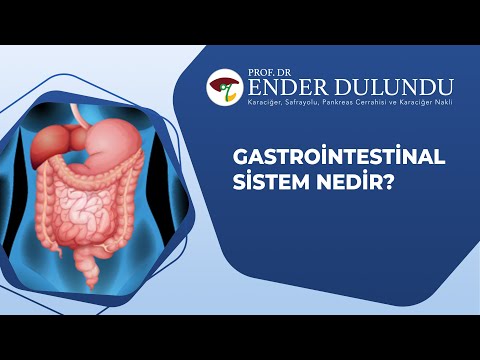 Gastrointestinal Sistem Cerrahisi Nedir? I Prof  Dr  Ender Dulundu