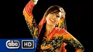 The Ladies Anthem | Northern Lights | Miss Pooja | Sudesh Kumari | Official Video | New Punjabi Song