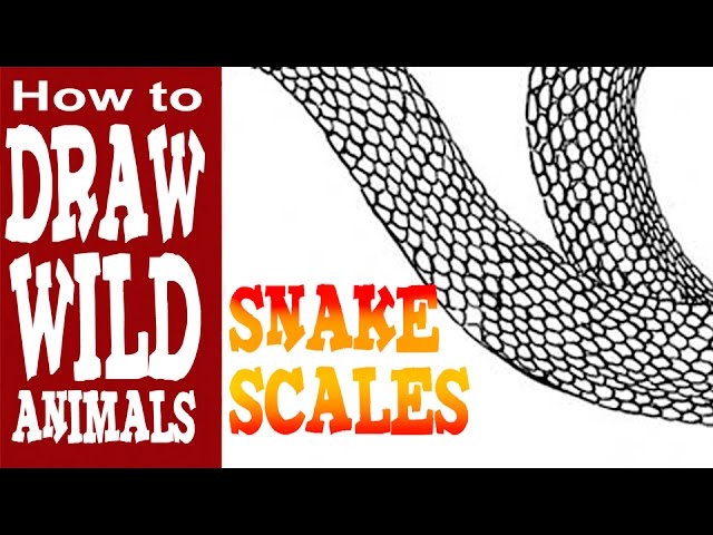 Snake scale pattern.  Snake drawing, Wood burning patterns, Scale drawing