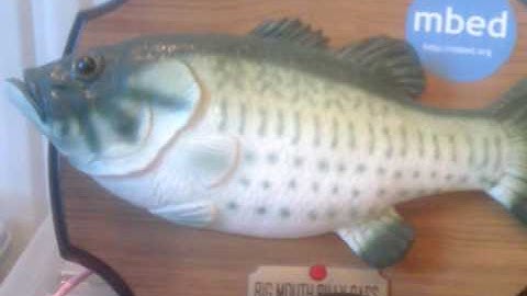 mbed + billy bass + twitter = internet of things