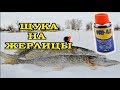 ЩУКА НА ЖЕРЛИЦЫ НА WD-40. Я НЕ ОЖИДАЛ ТАКОГО РЕЗУЛЬТАТА.