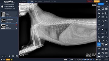 JPI ExamVue Duo Veterinary | Demo