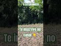 #shortsfeed #youtubeshorts #colono