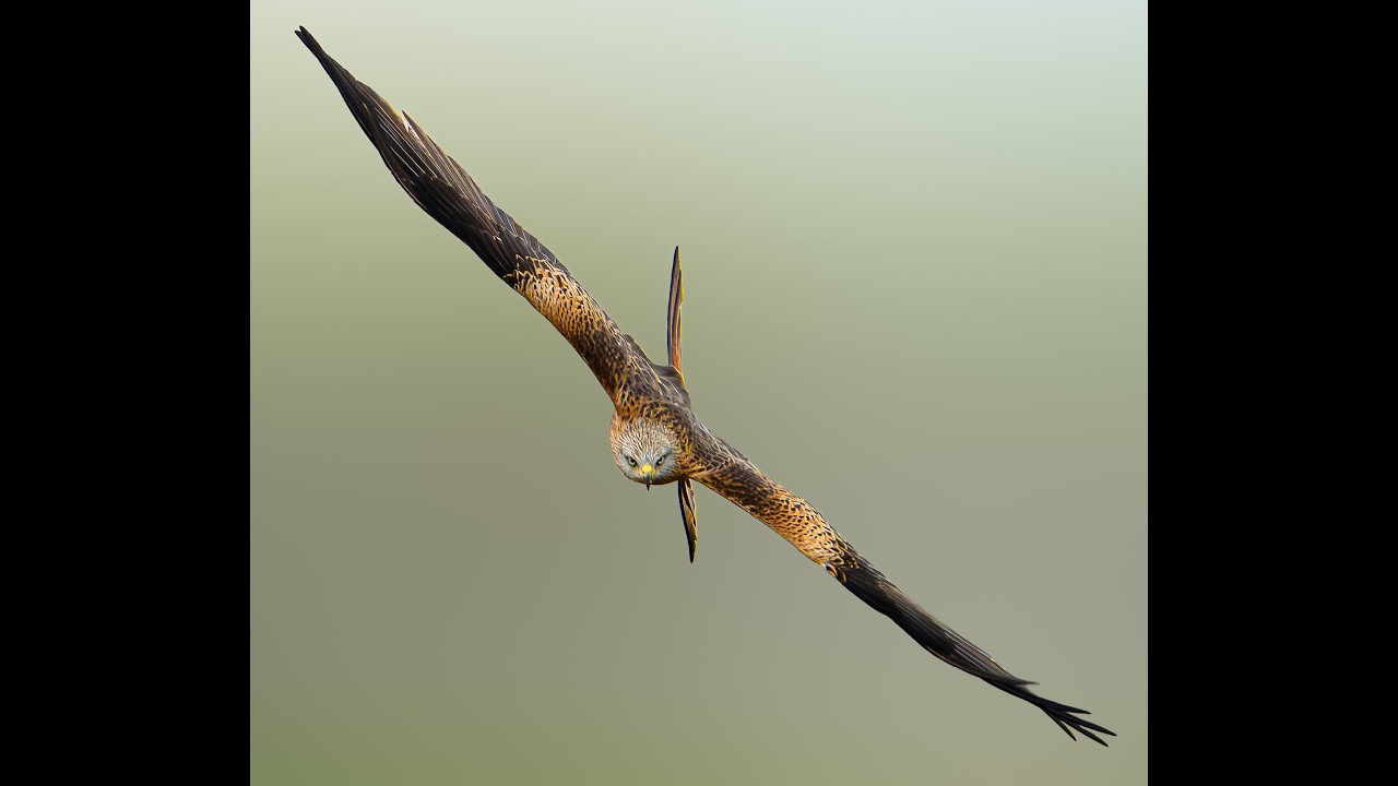 20260114 Colmenar-E. Santillana