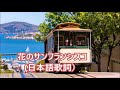 花のサンフランシスコ(日本語歌詞)/(弾き語り)杉ちゃん