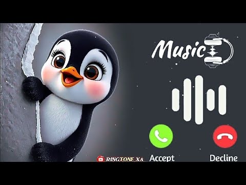 Message Ringtone | Notification Ringtone | Message Tone | Sms Ringtone | Funny Ringtone #ringtone