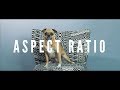 Aspect Ratio - Sony Cinema Quick Tips