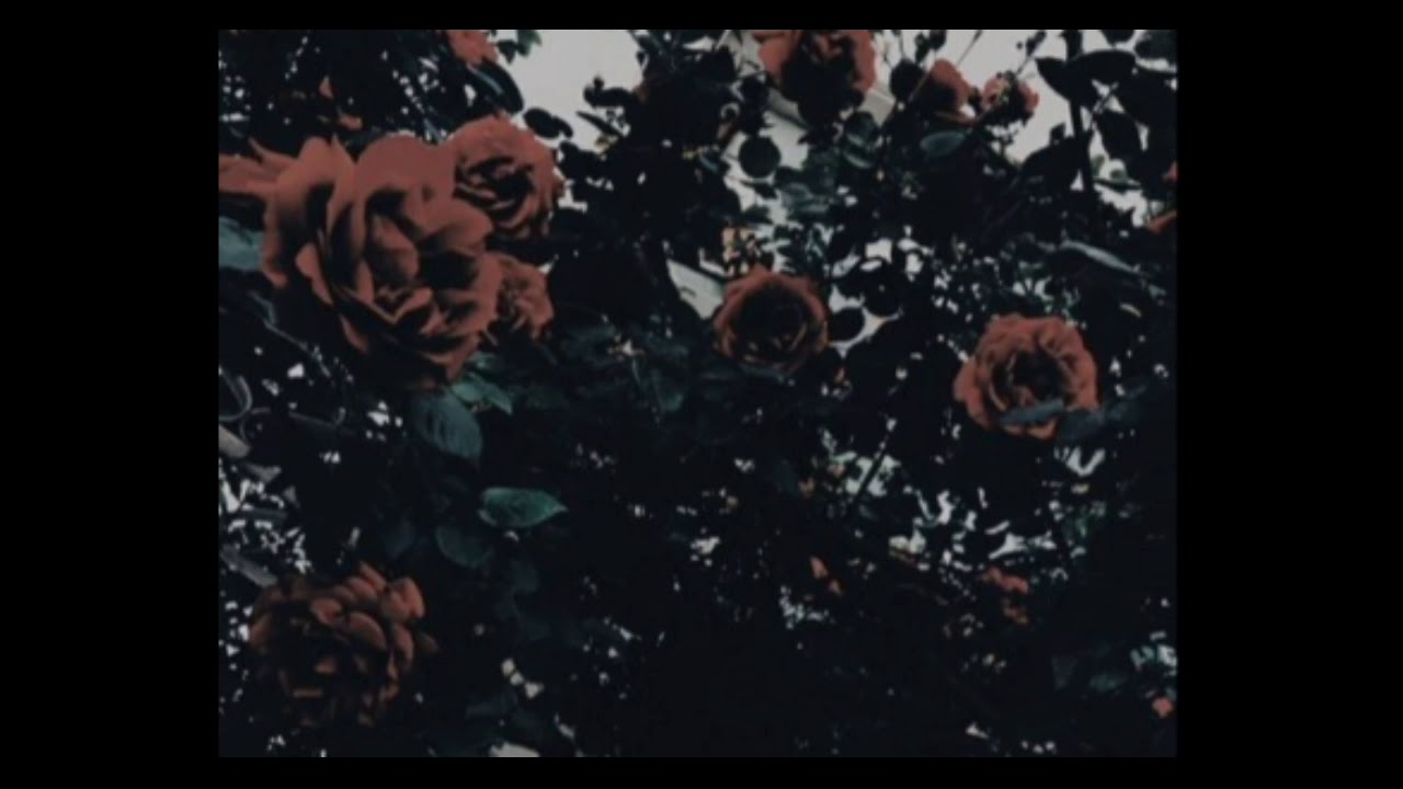 𝑃𝑜𝑟𝑐𝑒𝑙𝑎𝑖𝑛 𝐵𝑙𝑎𝑐𝑘 - 𝑂𝑛𝑒 𝑊𝑜𝑚𝑎𝑛 𝐴𝑟𝑚𝑦 (𝑆𝒍𝒐𝒘𝒆𝒅 + 𝑅𝑒𝑣𝑒𝑟𝑏)